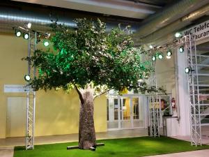 Deko Baum Buche 3